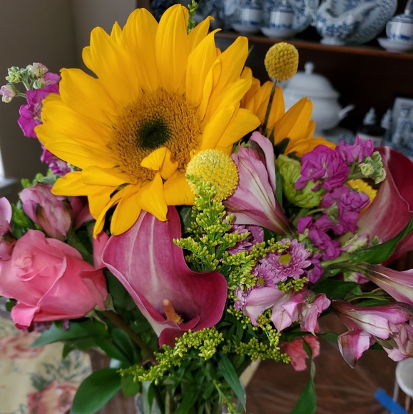 Meet your Posher, Laura - Picture 1 of 1